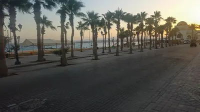 a street lined with palm trees next to the beach at Paradise Studio with pool in Hurghada