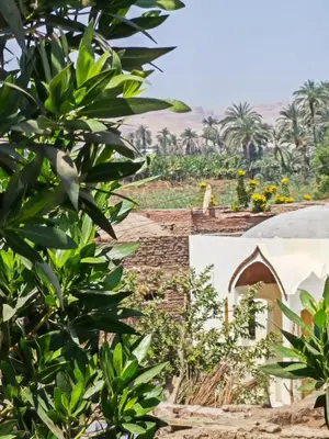 a view of a garden from behind a tree at Villa malaika with Private swimming pool in Luxor