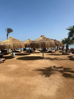 a group of straw umbrellas on a beach at TIBA GOLDEN Hurgada in Hurghada