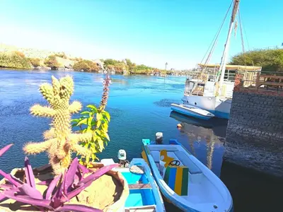 two boats are docked in a river with a plant at Shellaly Ca Nubian Heritage House in Jazīrat Salūjah