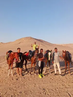 a group of men riding horses in the desert at Horse Riding Tour in Hurghada