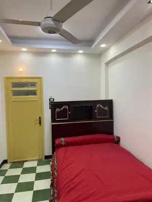 Gallery image of الباشا الأقصر in Luxor
