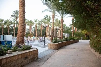 a walkway with palm trees and people in a park at Mirage Bay Resort Hurghada C-781 in Hurghada