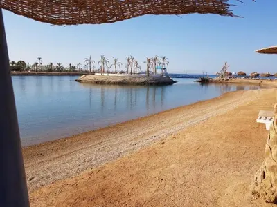 a beach with palm trees in the water at Mirage Bay Resort Hurghada B-780 in Hurghada