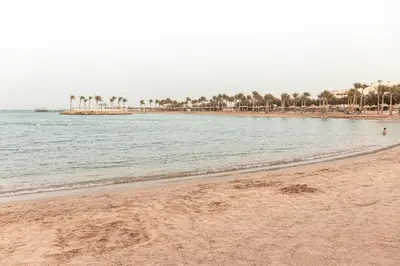 a beach with palm trees and the ocean at Mirage Bay Resort Hurghada C-775 in Hurghada