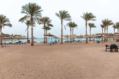 a beach with palm trees and chairs and the ocean at Mirage Bay Resort Hurghada C797 in Hurghada