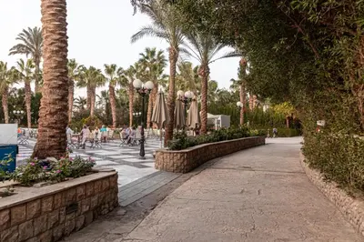 a walkway with umbrellas and palm trees in a park at Mirage Bay Resort Hurghada B-794 in Hurghada