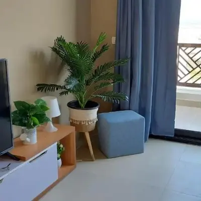1 br stylish flat in phase 2 MH