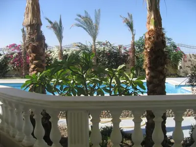 a balcony with palm trees and a swimming pool at Villa Shahrazad Hurghada in Hurghada