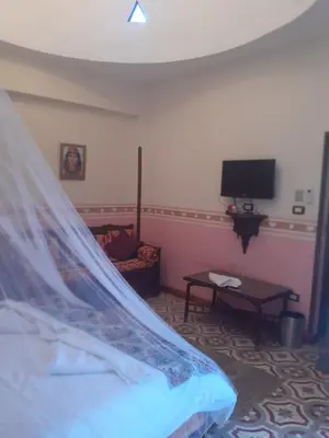 a bedroom with a bed with a mosquito net at Villa Nile House Luxor in Luxor