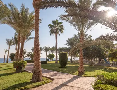 a path through a park with palm trees at Serenity Alpha Beach - Ex Serenity Makadi Beach in Hurghada
