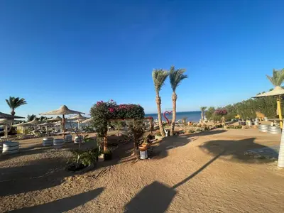 a beach with palm trees and chairs and the ocean at Comfortable studio in hotel Karma with private beach and pools family only or female in Hurghada