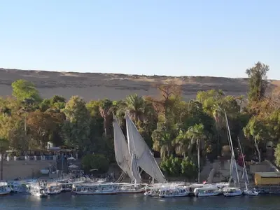 a group of boats are docked in the water at El Prince Guesthouse in Aswan