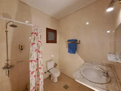 a bathroom with a toilet and a sink and a shower at Thebes Hotel in Luxor