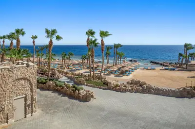 a beach with palm trees and chairs and the ocean at Pickalbatros Citadel Resort Sahl Hasheesh in Hurghada