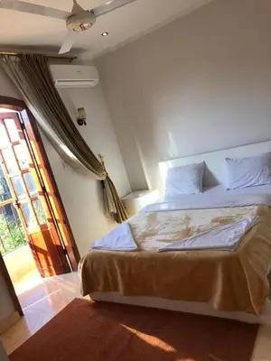 a bedroom with a large bed and a window at Luxor Plaza House in Luxor