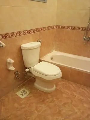a bathroom with a toilet and a bath tub at Nour House in Luxor