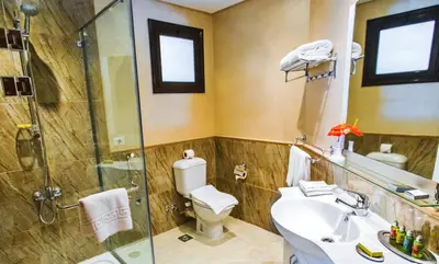 a bathroom with a shower and a toilet and a sink at Sky View Suites Hotel in Hurghada