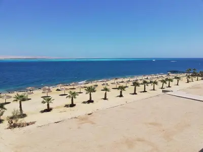 a beach with palm trees and umbrellas and the ocean at The View Apartment in Hurghada