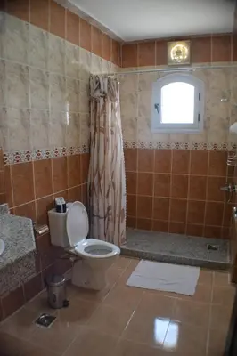 a bathroom with a toilet and a shower at Nile Valley Hotel in Luxor
