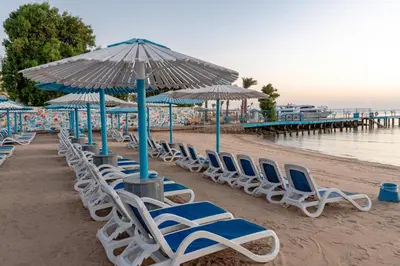 a row of chairs and umbrellas on a beach at MinaMark Beach Resort for Families and Couples Only in Hurghada