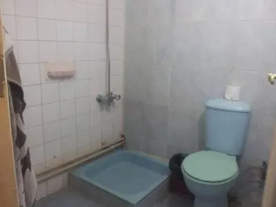 a bathroom with a toilet and a bath tub at Nubian oasis hotel in Aswan