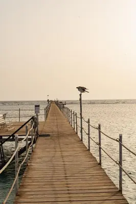 a wooden pier with an umbrella on the water at Blend Elphistone Resort Marsa Alam in Abu Dabab