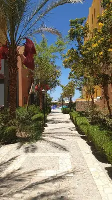 a street with trees and buildings on a sunny day at Al Dora Residence Appartement in Hurghada