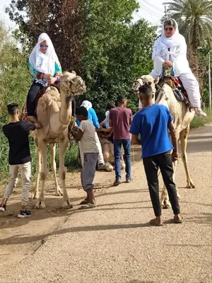a group of people riding camels on a road at Moon Valley Apartments in Luxor