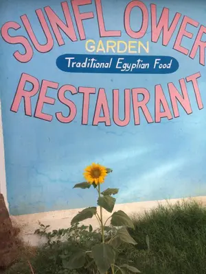 a book cover of a sunflower garden traditional experimental food restaurant at Sunflower Guest House Luxor West Bank in Luxor