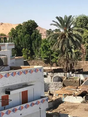 a building with a palm tree in the background at Nubian Paradise in Aswan
