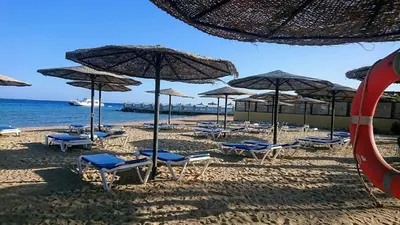 a group of chairs and umbrellas on a beach at Exoticky apartman in Hurghada