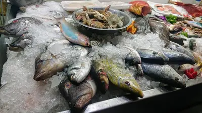 a bunch of fish on a table with snow at Exoticky apartman in Hurghada