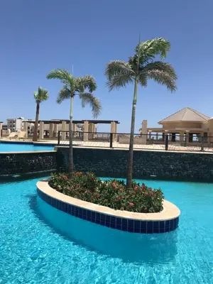 a swimming pool with palm trees and blue water at AlDau Heights Apartments in Hurghada
