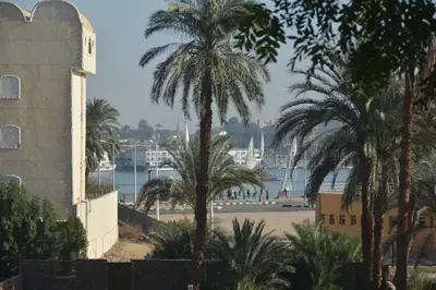 a view of a harbor with palm trees and a building at El Gezira Hotel in Luxor