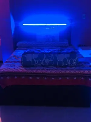 a bedroom with a bed in a blue room at Sweet Home- ممنوع للمصريين Open 24 Hour in Hurghada