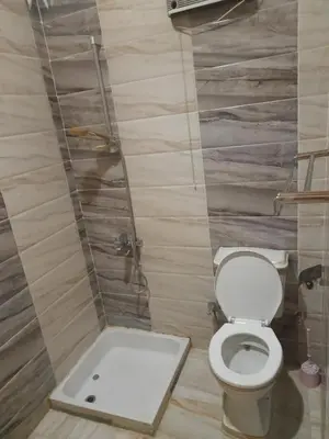 a bathroom with a toilet and a bath tub at Alaa Aldin Flats in Luxor