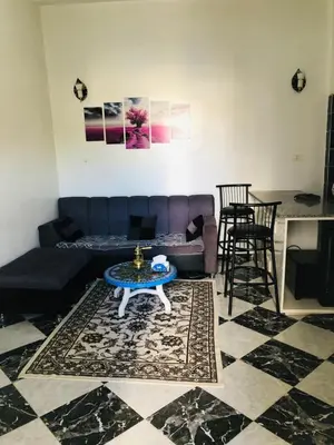 a living room with a couch and a table at Alaa Aldin Flats in Luxor