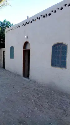 a white building with a door and a window at Desert Rose Guesthouse in Luxor