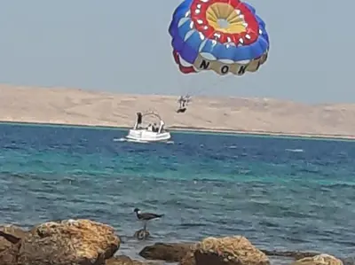 a large kite flying over the water with a boat at apartman Sheraton plaza 419 in Hurghada