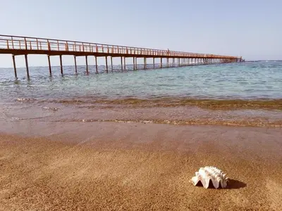 a shell on the beach with a pier in the water at Lazuli Hotel, Marsa Alam in Quseir