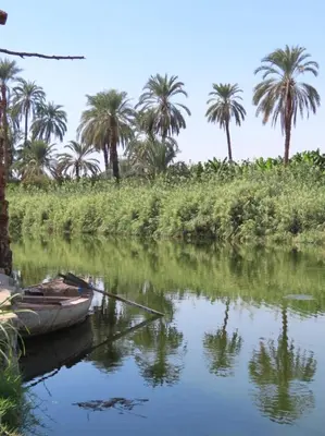 a boat on a river with palm trees in the background at Luxor Old Nile Hotel in Luxor