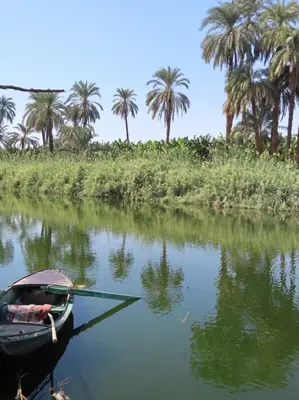a boat on a river with palm trees in the background at Luxor Old Nile Hotel in Luxor