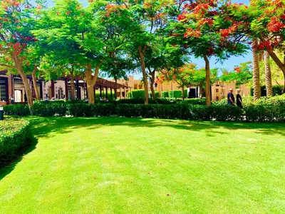 a green yard with trees and a field of grass at Chalet stella makadi family only in Hurghada