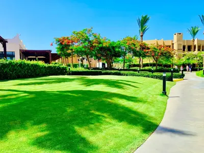 a large green yard with trees and a sidewalk at Chalet stella makadi family only in Hurghada