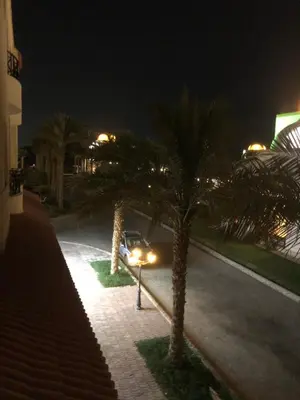 a car driving down a street at night with palm trees at سهل حشيش in Hurghada