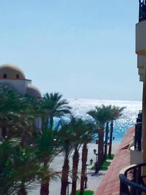 a row of palm trees on a sidewalk next to the beach at سهل حشيش in Hurghada