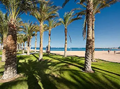 a group of palm trees on a sandy beach at The Grand Hotel, Hurghada in Hurghada