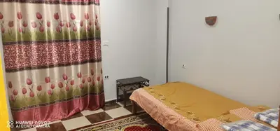a bedroom with a bed and a curtain with tulips at Tut flat in Luxor