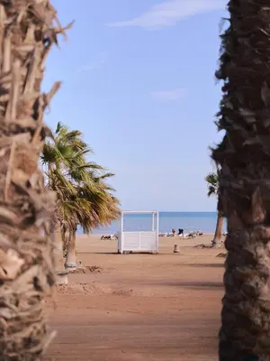 a soccer goal on the beach with palm trees at Mangroovy apartament El gouna in Hurghada